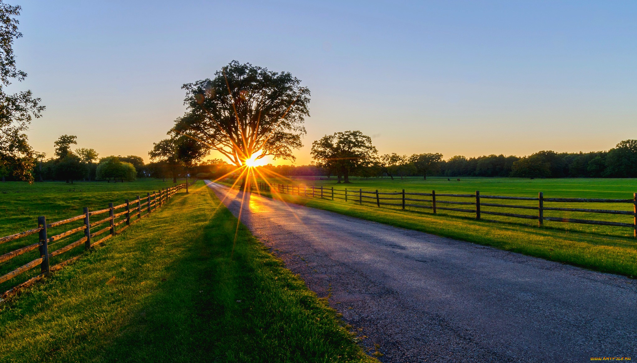 , , path, , road, trees, , park, forest, spring, , sunrise, sunset, , rays, , , , walk, , nature